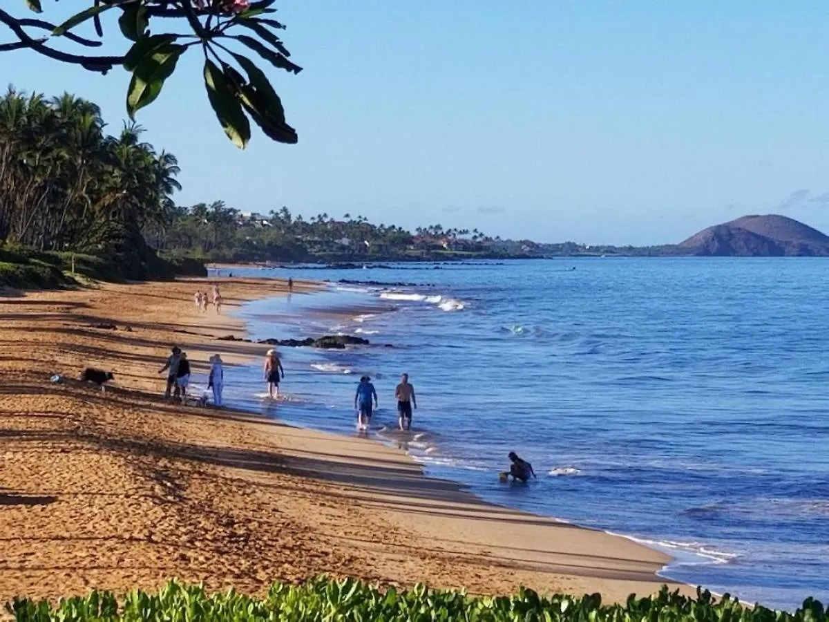 Hale Kamaole 223 Villa Wailea  United States