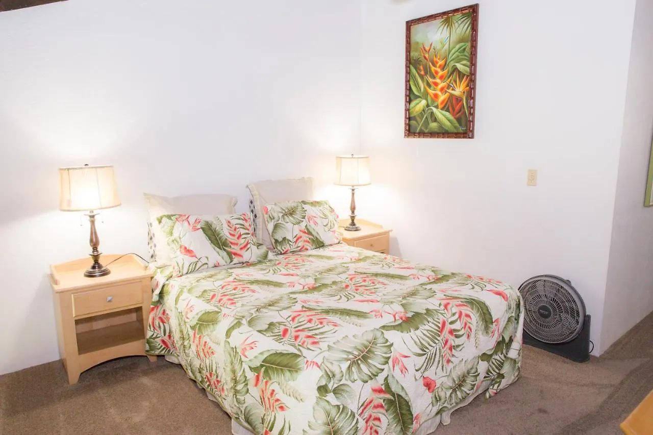 Holiday home Hale Kamaole 223 Villa Wailea  United States