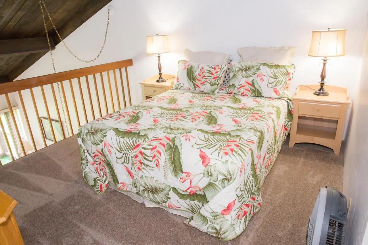 Holiday home Hale Kamaole 223 Villa Wailea